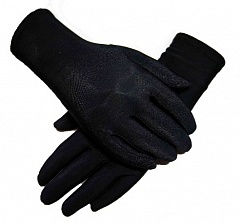  Thermo gloves black